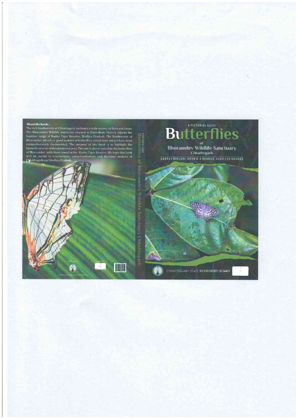 Butterflies Of Bhoramdev Wildlife Sanctuary Chhattisgarh